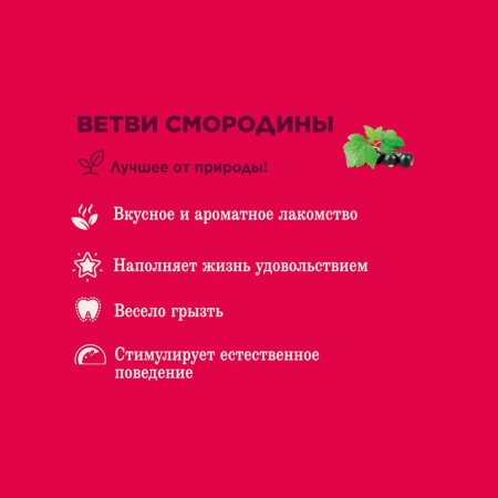 Лак-во Little One Лаком.Ветви смородины, д/всех видов грызунов