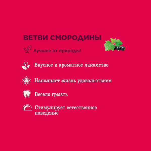 Лак-во Little One Лаком.Ветви смородины, д/всех видов грызунов