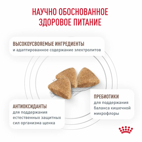 Корм для собак Royal Canin оптом. 