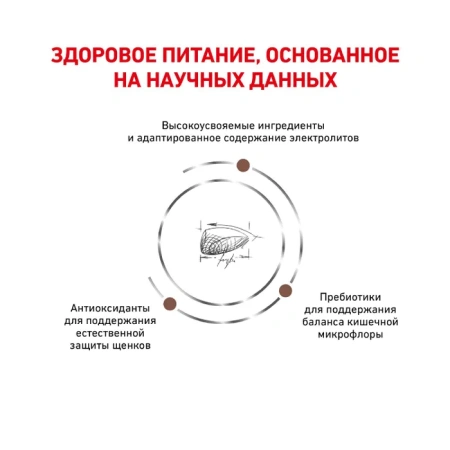 Гастроинтестинал Паппи 2,5 кг