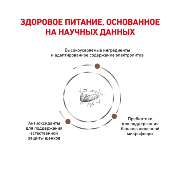 Корм для собак Royal Canin оптом. 