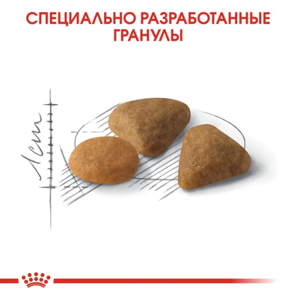 Эксиджент Сэйвор Сенсейшн 35/30 2,0 кг вкус