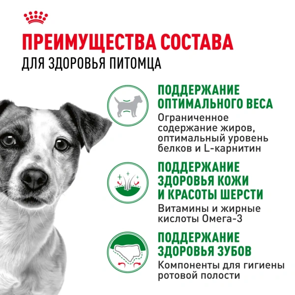 Корм для собак Royal Canin оптом. 
