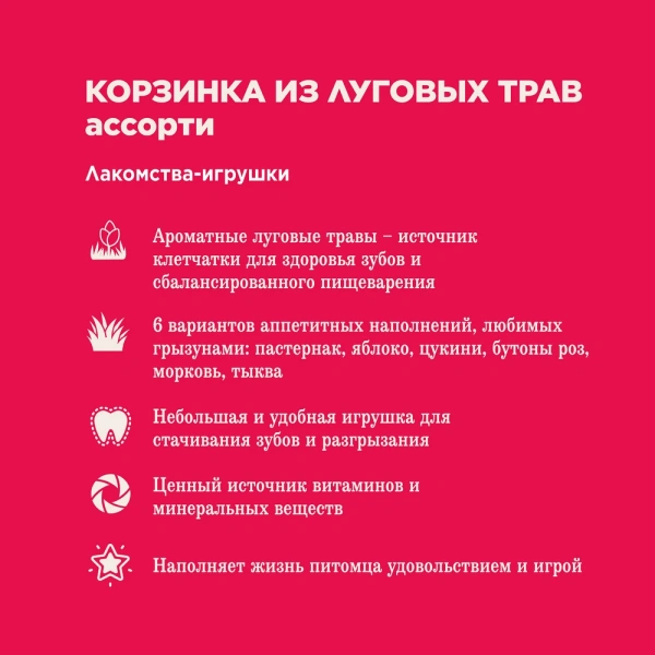 Лак-во Little One Корзинка из лугов.трав с наполнен.(пастернак,цукини,яблоко,бут.роз,тыква)*12 