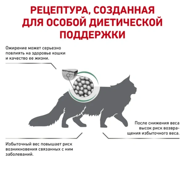 СЭТАЙЕТИ ВЕЙТ МЕНЕДЖМЕНТ 3,5кг СРОК 01.11.25