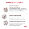 Гастроинт собаки паштет 28*85г