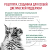 Диабетик кошка соус 28*85г
