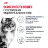 Дайджестив Кэа Кошка 0,4 кг