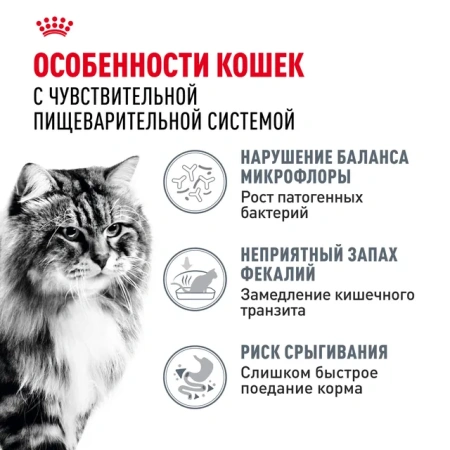 Дайджестив Кэа Кошка 0,4 кг