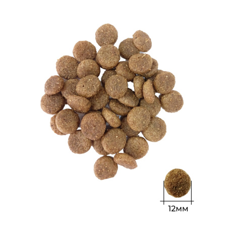 Руфус д/щ. Юниор Ягненок сух. 15кг.