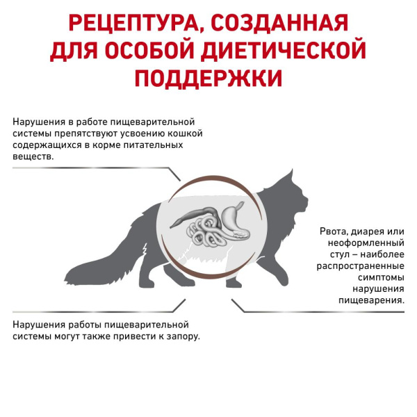 Гастроинтестинал Файбр Респонз  (фелин) 2кг