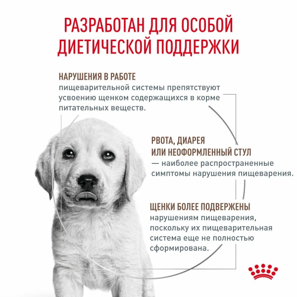 Корм для собак Royal Canin оптом. 