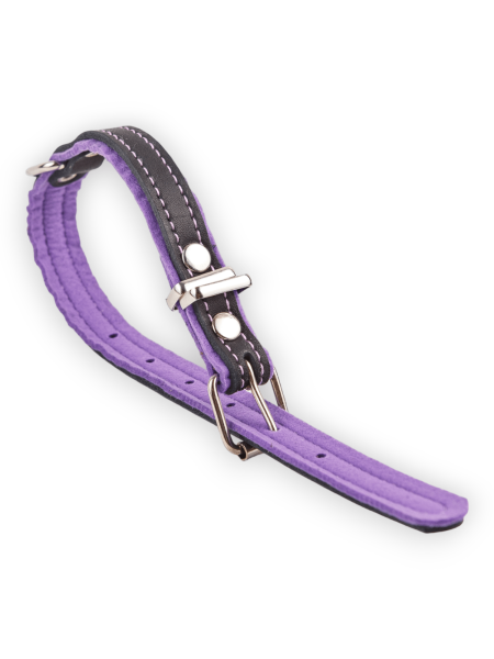 Ошейник Фетр черный/фиолетовый 35мм*42-56см