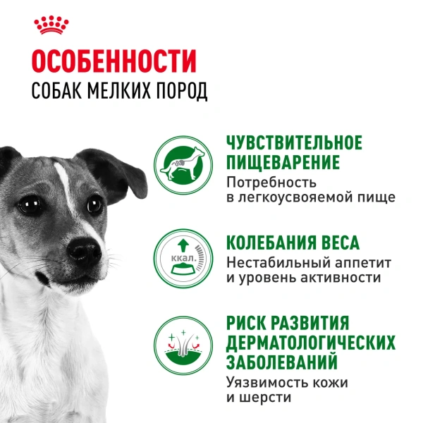 Корм для собак Royal Canin оптом. 