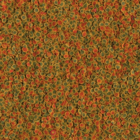 Tetra Рro Crisps Energy 10л.