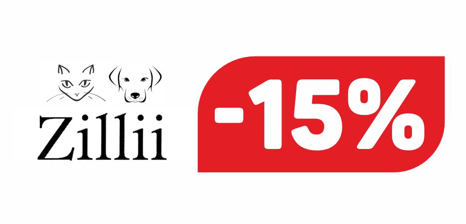 ЗИЛЛИ