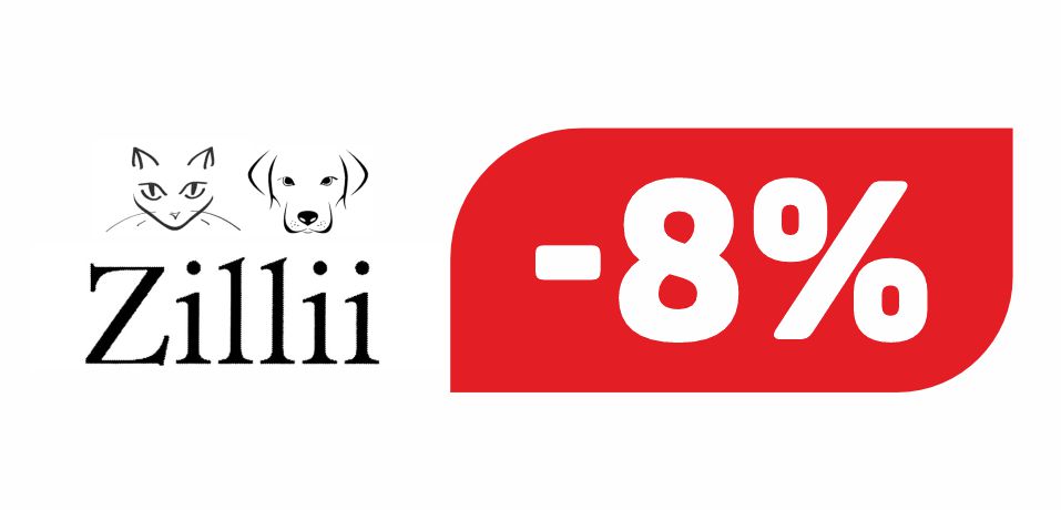 ЗИЛЛИ